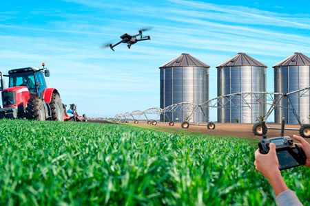 Proyectos-Agro-Industriales